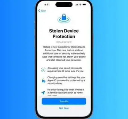 泸溪苹果授权维修店分享被盗设备保护功能开启方法