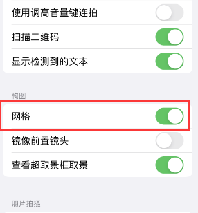 泸溪苹果手机维修网点分享iPhone如何开启九宫格构图功能