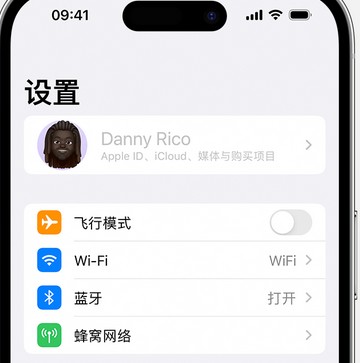 泸溪appleID维修服务iPhone设置中Apple ID显示为灰色无法使用