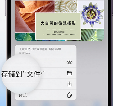 泸溪apple维修中心分享iPhone文件应用中存储和找到下载文件