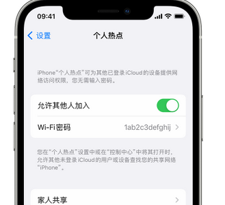 泸溪apple服务站点分享iPhone上个人热点丢失了怎么办