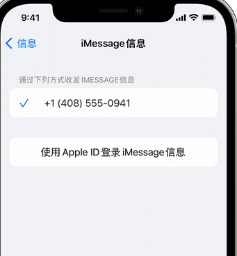 泸溪apple维修iPhone上无法正常发送iMessage信息 