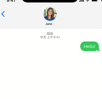 泸溪apple维修iPhone上无法正常发送iMessage信息