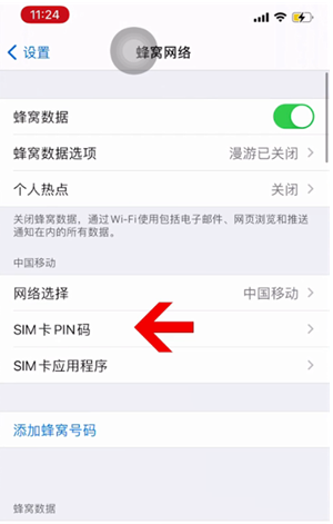 泸溪苹果14维修网分享如何给iPhone14的SIM卡设置密码 