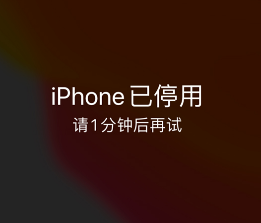 泸溪苹果手机维修分享:iPhone 显示“不可用”或“已停用”怎么办？还能保留数据吗？ 