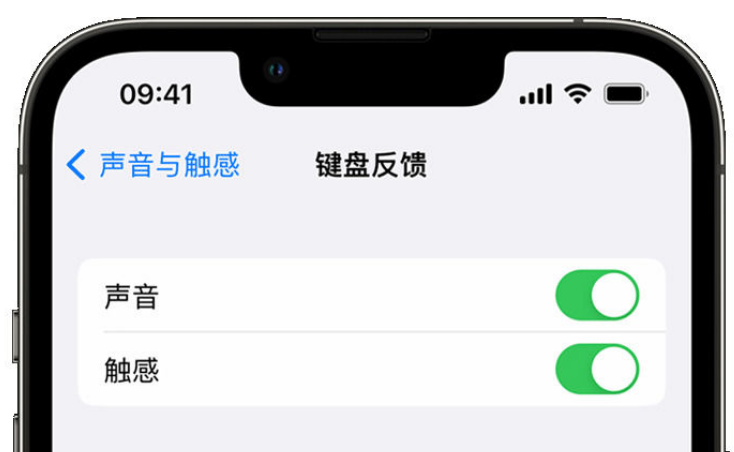 泸溪苹果手机维修分享iPhone 14触感键盘使用方法 