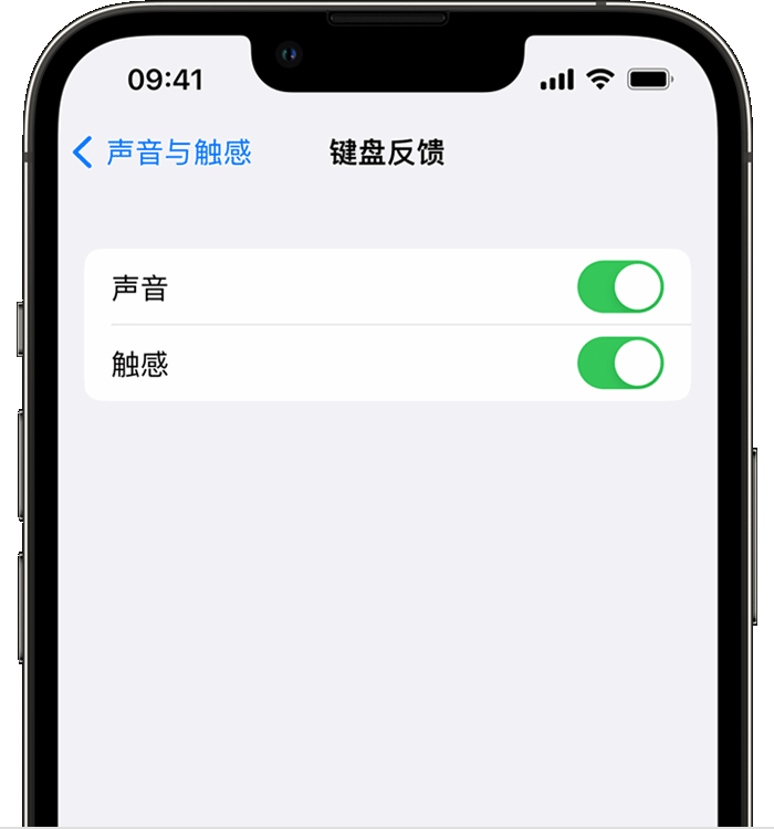 泸溪苹果14维修店分享如何在 iPhone 14 机型中使用触感键盘 