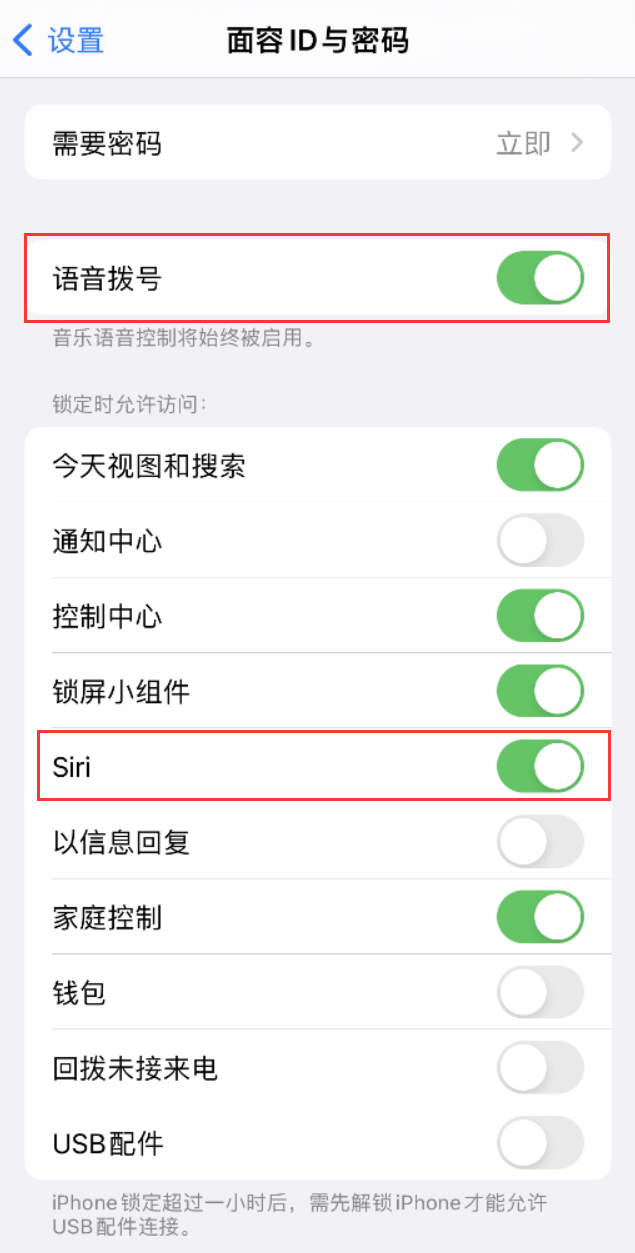 泸溪苹果维修网点分享不解锁 iPhone 的情况下通过 Siri 拨打电话的方法 