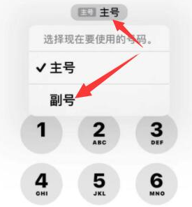 泸溪苹果14维修店分享iPhone 14 Pro Max使用副卡打电话的方法 