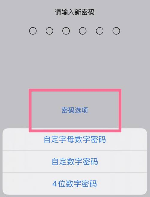 泸溪苹果14维修分享iPhone 14plus设置密码的方法 