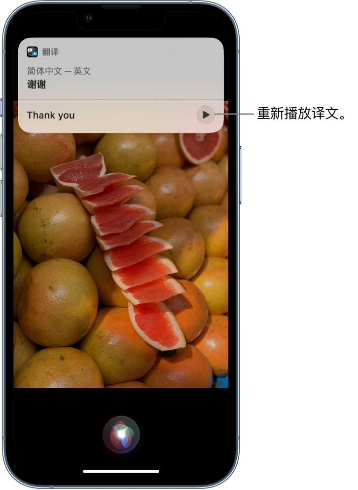 泸溪苹果14维修分享 iPhone 14 机型中使用 Siri：了解 Siri 能帮你做什么 