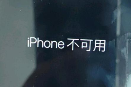 泸溪苹果服务网点分享锁屏界面显示“iPhone 不可用”如何解决 