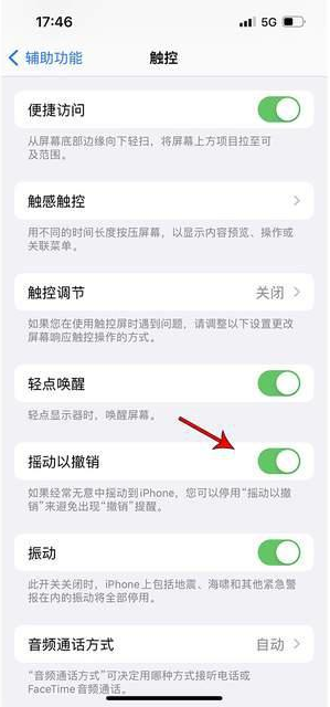 泸溪苹果手机维修分享iPhone手机如何设置摇一摇删除文字 