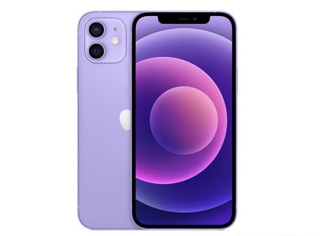 泸溪苹果手机维修分享现阶段要不要入手紫色版iPhone12 