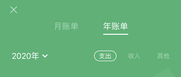 泸溪苹果手机维修分享如何在 iPhone 上查看支付宝和微信年支出账单 