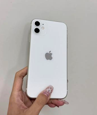 泸溪苹果维修点分享iPhone 11黑屏特殊场景解析 